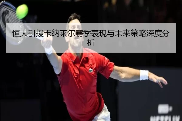 恒大引援卡纳莱尔赛季表现与未来策略深度分析